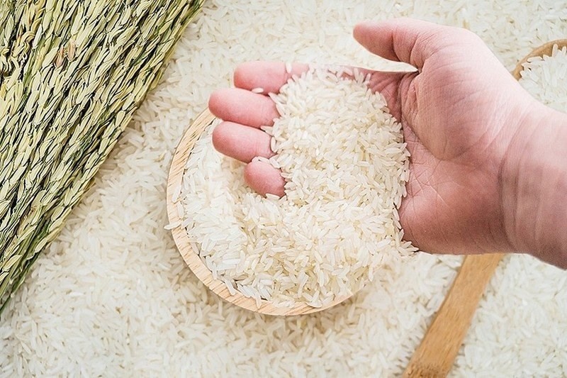 Trang Thông Tin Xuất Nhập Khẩu IMEX NEWS
