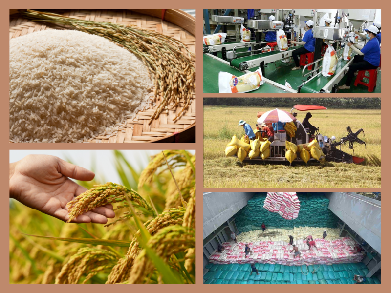 Trang Thông Tin Xuất Nhập Khẩu IMEX NEWS