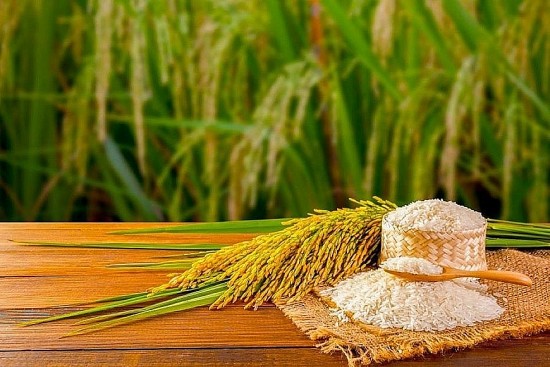 Trang Thông Tin Xuất Nhập Khẩu IMEX NEWS