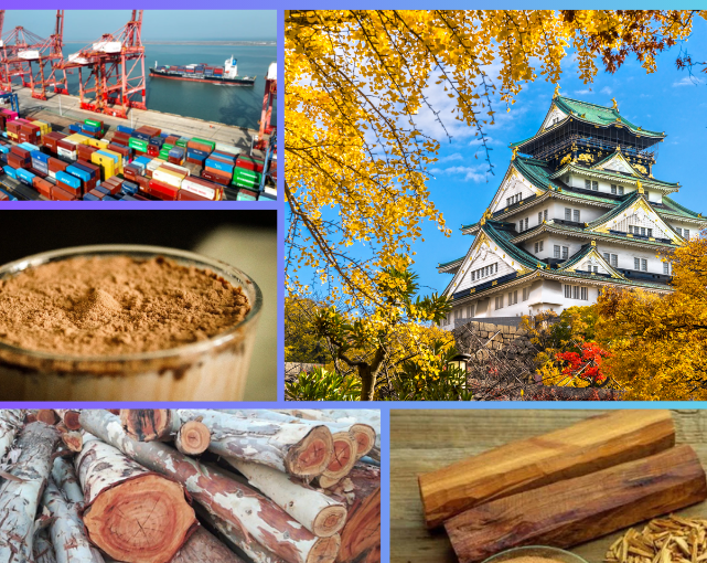 Trang Thông Tin Xuất Nhập Khẩu IMEX NEWS