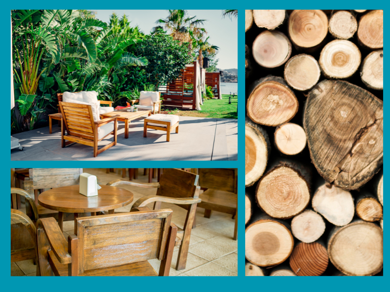 Trang Thông Tin Xuất Nhập Khẩu IMEX NEWS