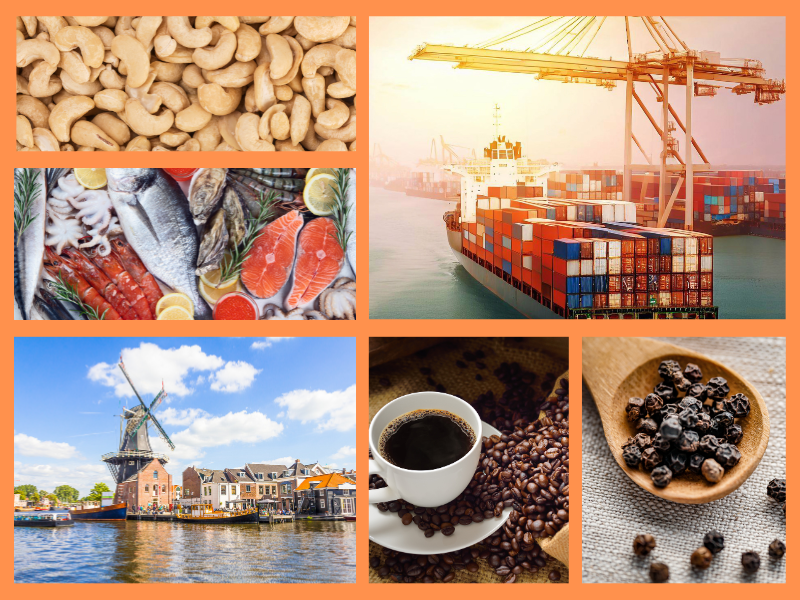 Trang Thông Tin Xuất Nhập Khẩu IMEX NEWS