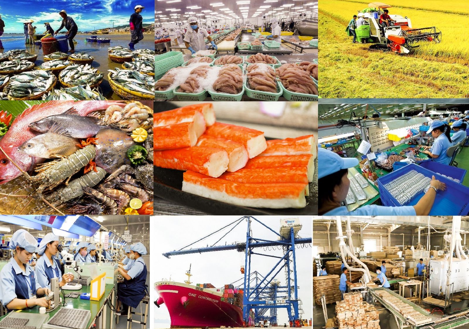 Trang Thông Tin Xuất Nhập Khẩu IMEX NEWS