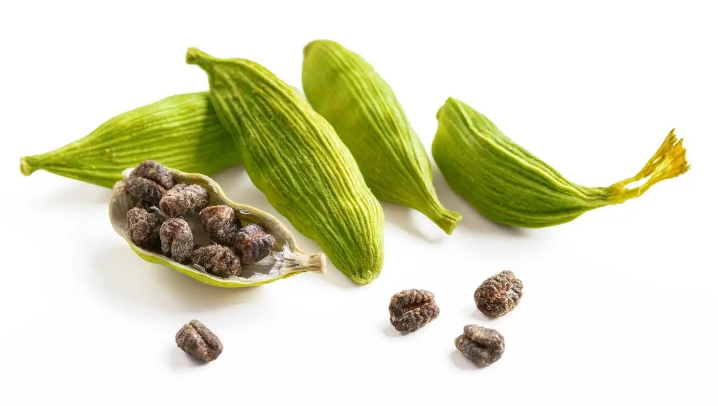 Trang Thông Tin Xuất Nhập Khẩu IMEX NEWS