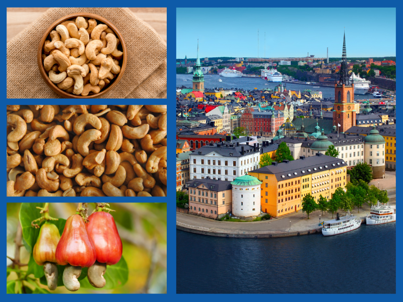 Trang Thông Tin Xuất Nhập Khẩu IMEX NEWS