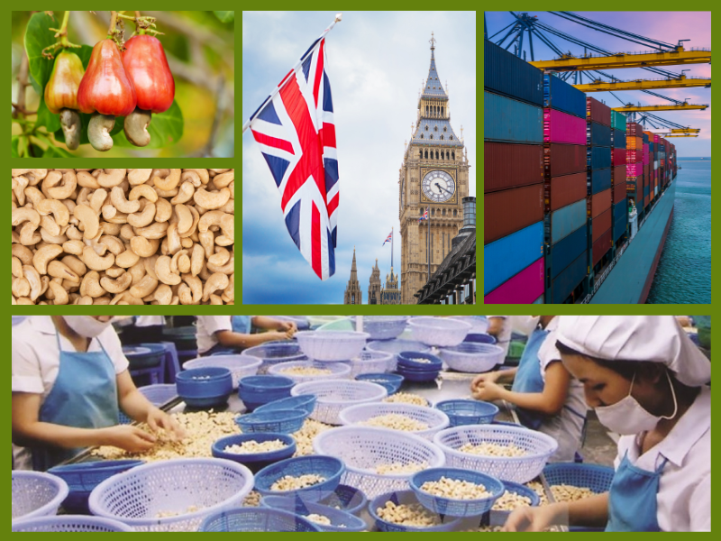 Trang Thông Tin Xuất Nhập Khẩu IMEX NEWS