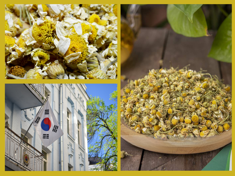 Trang Thông Tin Xuất Nhập Khẩu IMEX NEWS