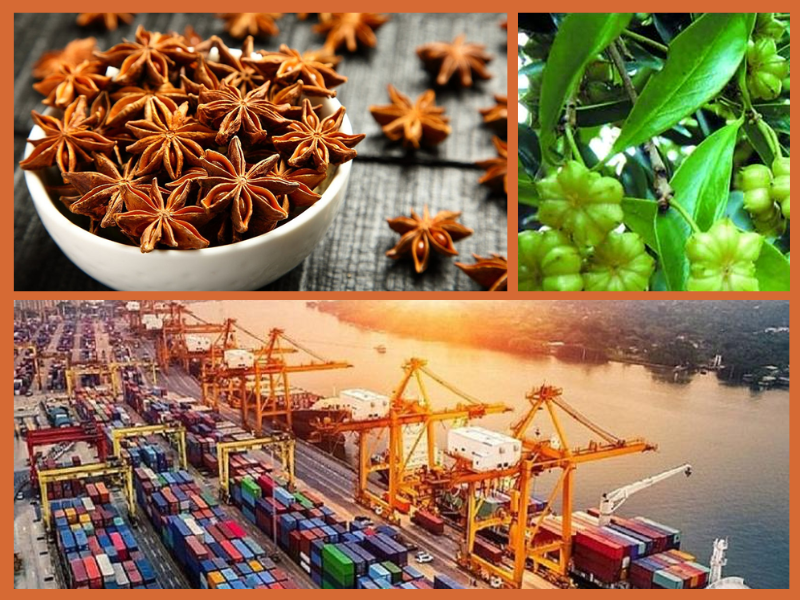 Trang Thông Tin Xuất Nhập Khẩu IMEX NEWS