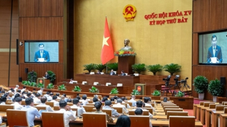 Trang Thông Tin Xuất Nhập Khẩu IMEX NEWS