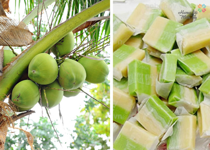 Cần tìm nhà cung cấp Kẹo dừa cho thị trường Trung Quốc