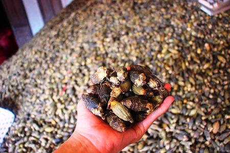 Trang Thông Tin Xuất Nhập Khẩu IMEX NEWS