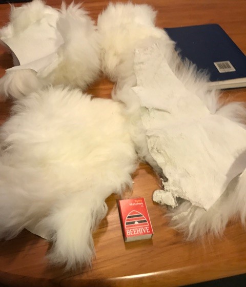 Trang Thông Tin Xuất Nhập Khẩu IMEX NEWS