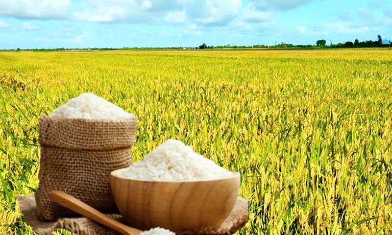 Trang Thông Tin Xuất Nhập Khẩu IMEX NEWS