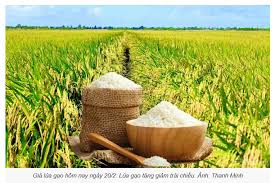 Trang Thông Tin Xuất Nhập Khẩu IMEX NEWS