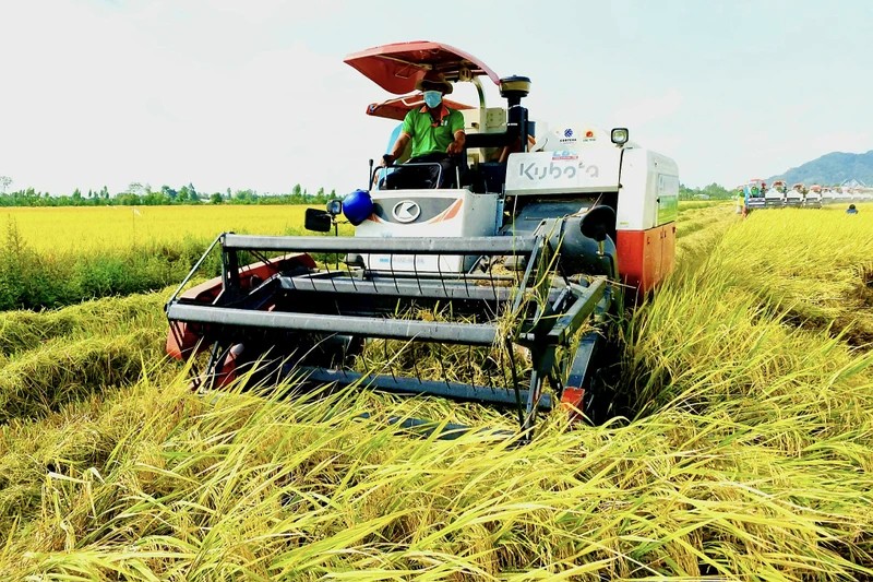 Trang Thông Tin Xuất Nhập Khẩu IMEX NEWS