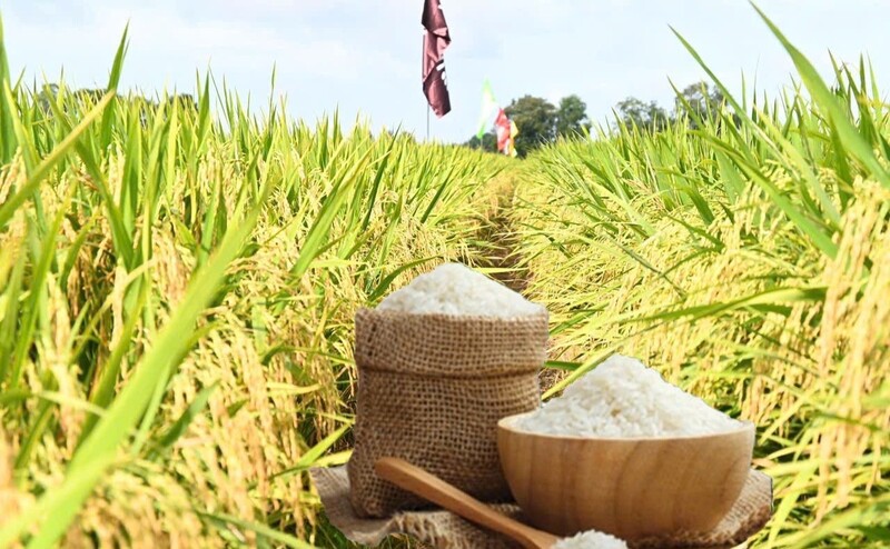 Trang Thông Tin Xuất Nhập Khẩu IMEX NEWS