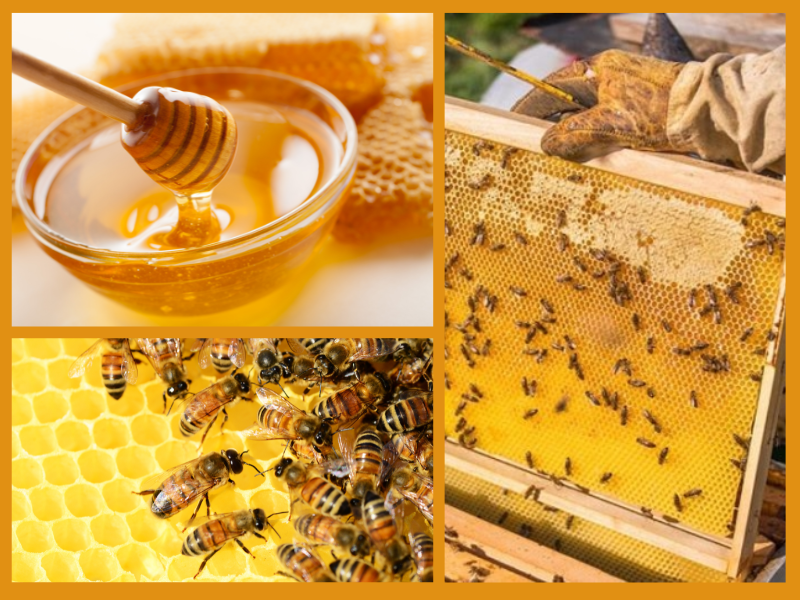 Trang Thông Tin Xuất Nhập Khẩu IMEX NEWS