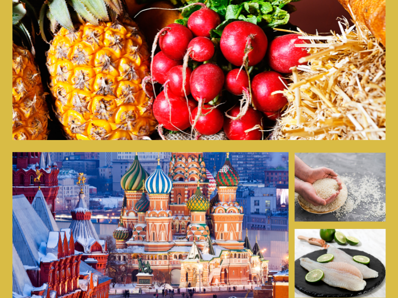 Trang Thông Tin Xuất Nhập Khẩu IMEX NEWS