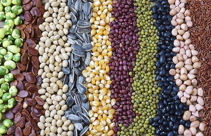 Trang Thông Tin Xuất Nhập Khẩu IMEX NEWS