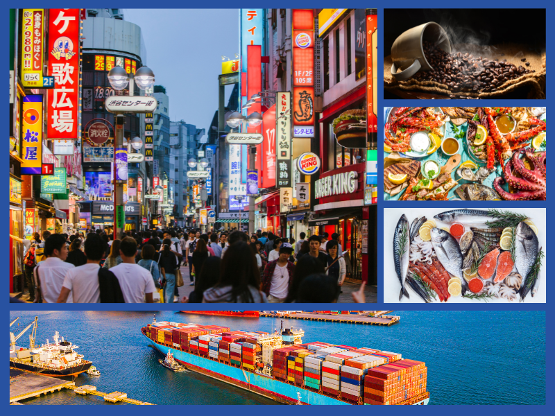 Trang Thông Tin Xuất Nhập Khẩu IMEX NEWS