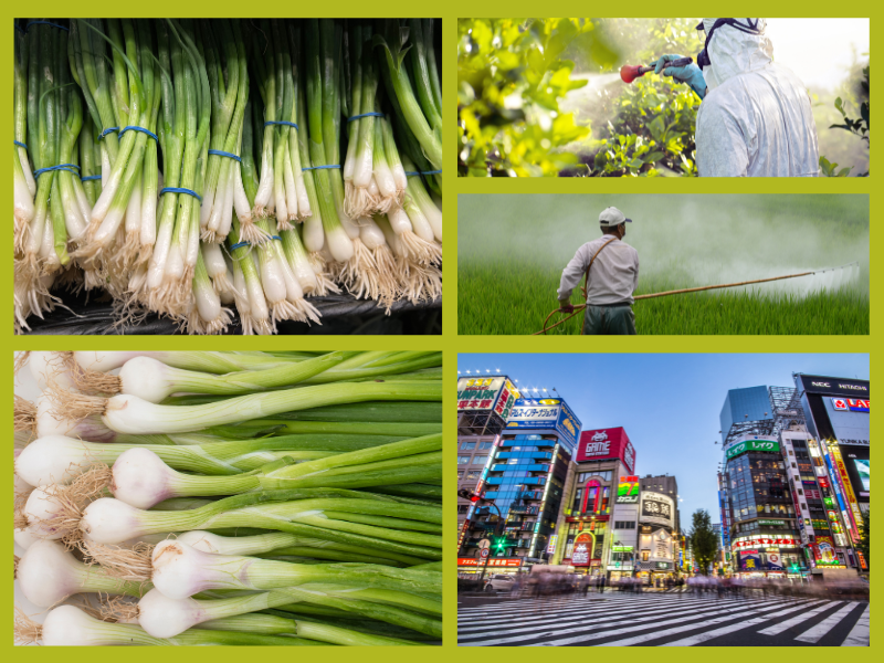 Trang Thông Tin Xuất Nhập Khẩu IMEX NEWS