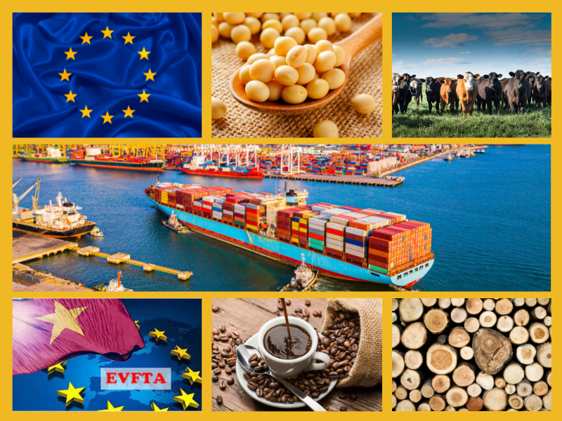 Trang Thông Tin Xuất Nhập Khẩu IMEX NEWS