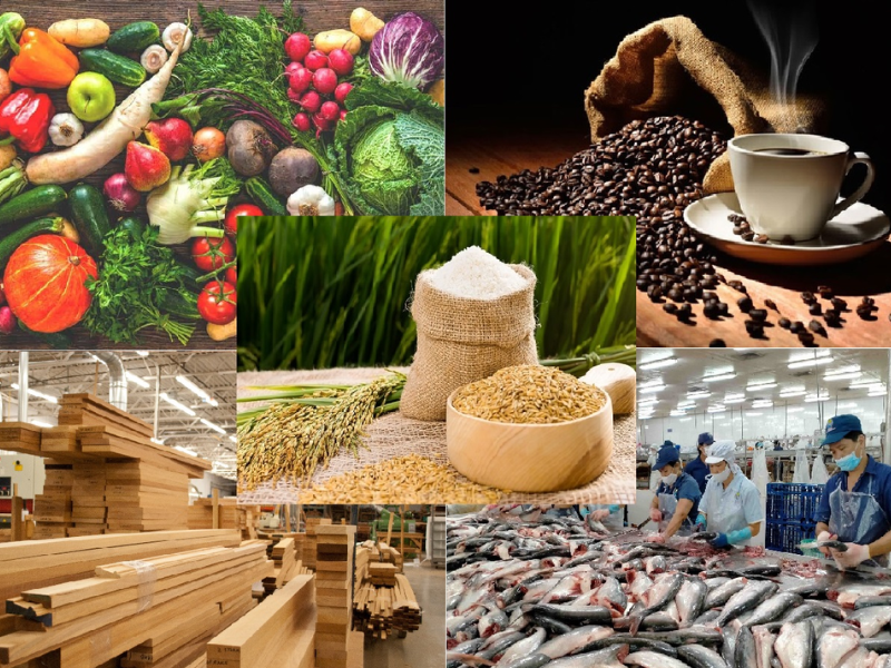 Trang Thông Tin Xuất Nhập Khẩu IMEX NEWS