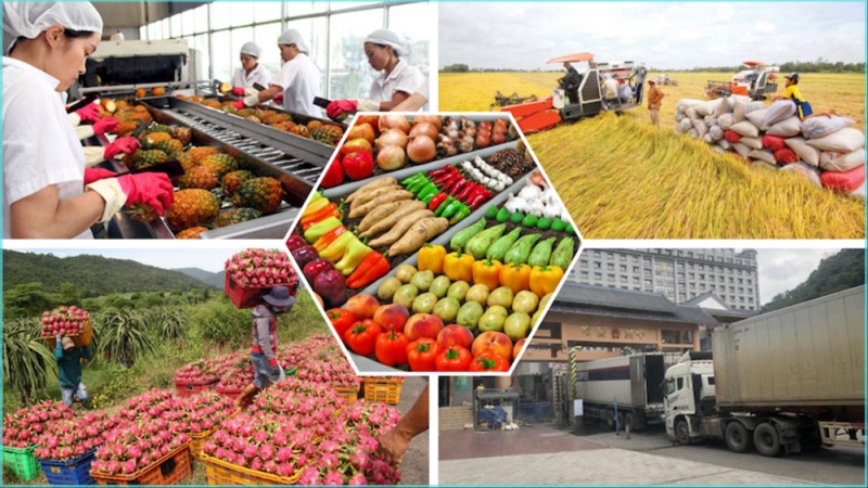 Trang Thông Tin Xuất Nhập Khẩu IMEX NEWS