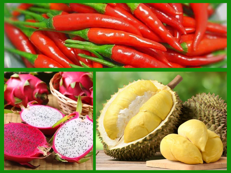 Trang Thông Tin Xuất Nhập Khẩu IMEX NEWS