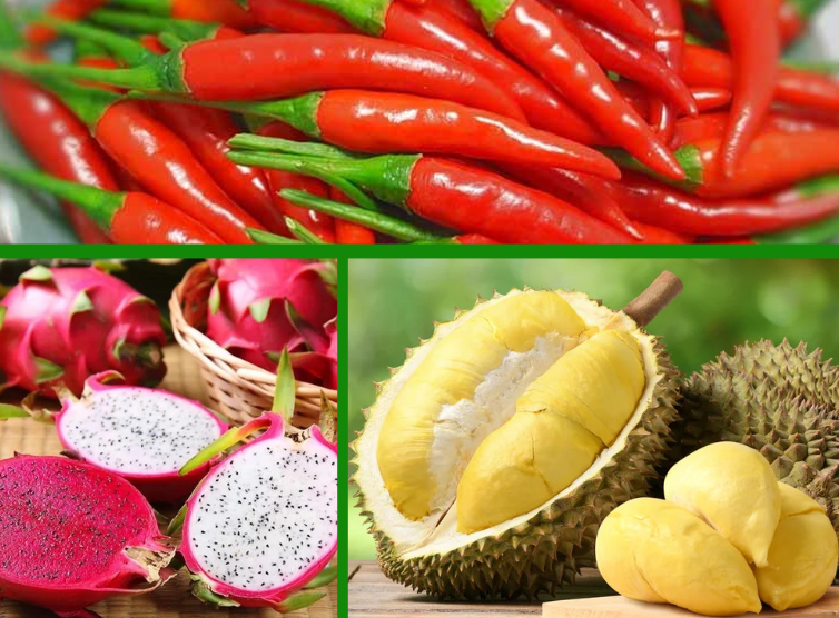 Trang Thông Tin Xuất Nhập Khẩu IMEX NEWS