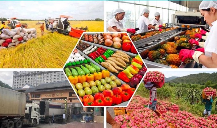 Trang Thông Tin Xuất Nhập Khẩu IMEX NEWS