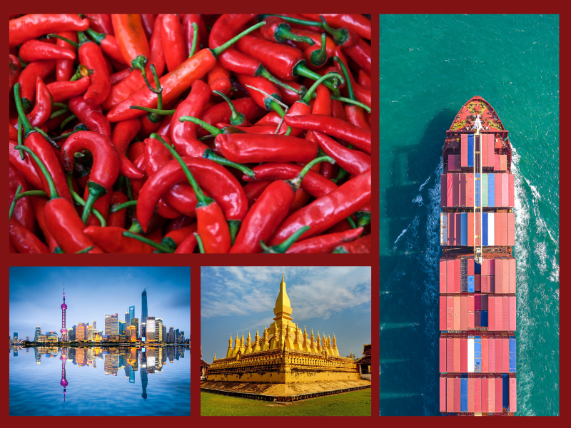 Trang Thông Tin Xuất Nhập Khẩu IMEX NEWS