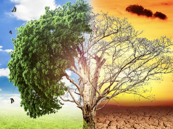 Trang Thông Tin Xuất Nhập Khẩu IMEX NEWS