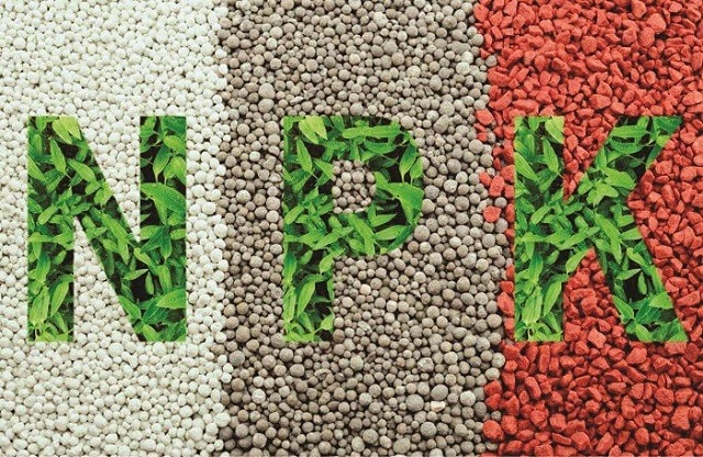 Trang Thông Tin Xuất Nhập Khẩu IMEX NEWS