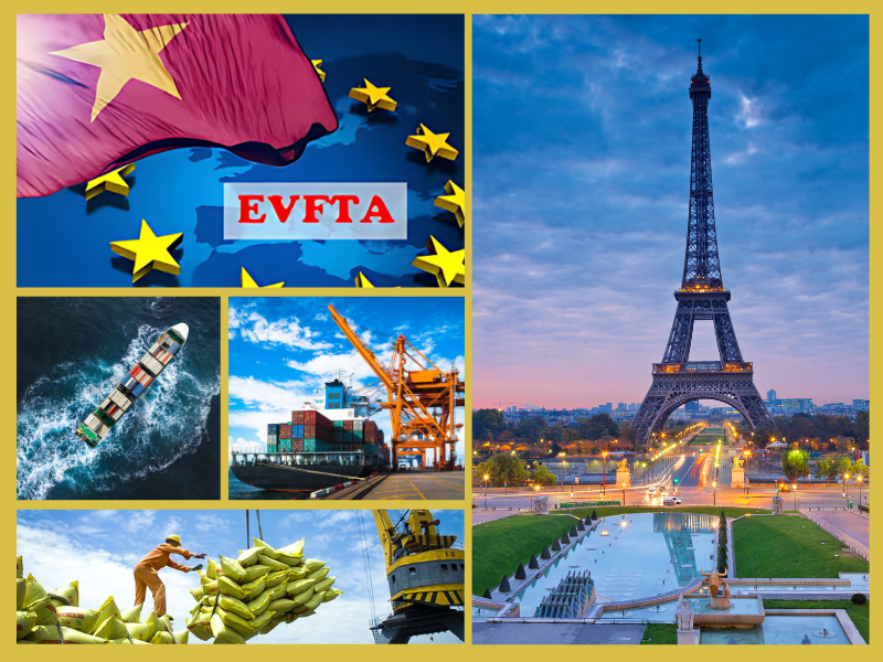 Trang Thông Tin Xuất Nhập Khẩu IMEX NEWS