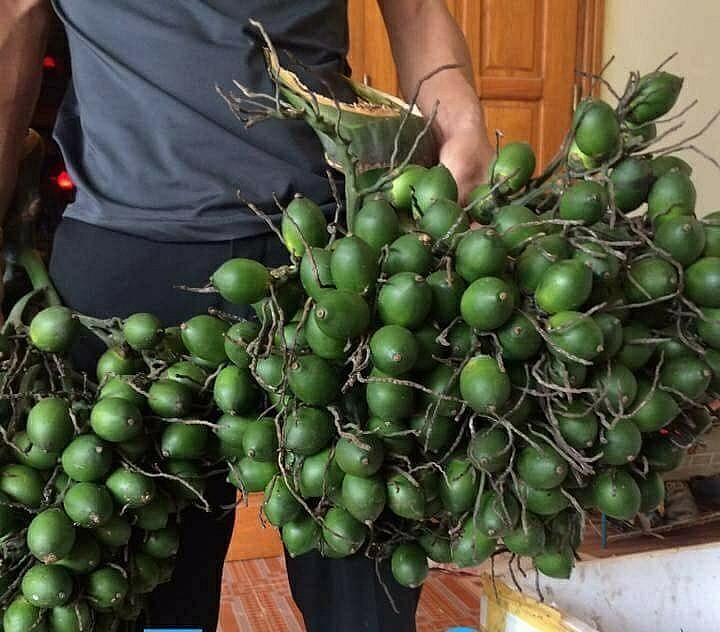 Trang Thông Tin Xuất Nhập Khẩu IMEX NEWS