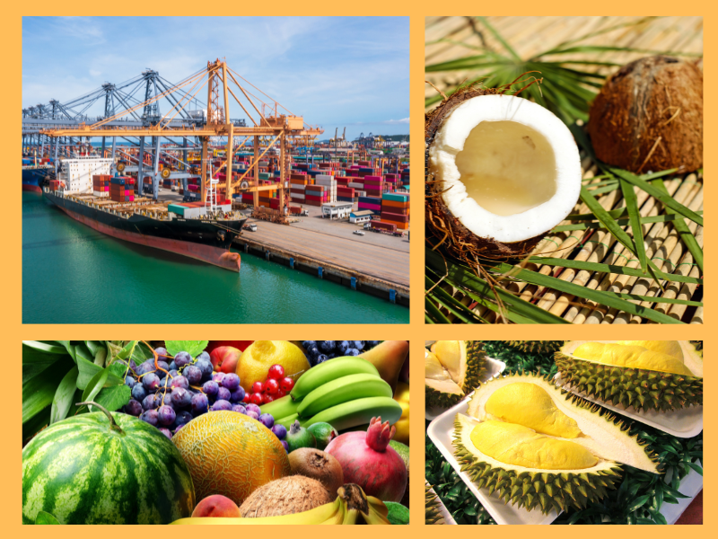 Trang Thông Tin Xuất Nhập Khẩu IMEX NEWS