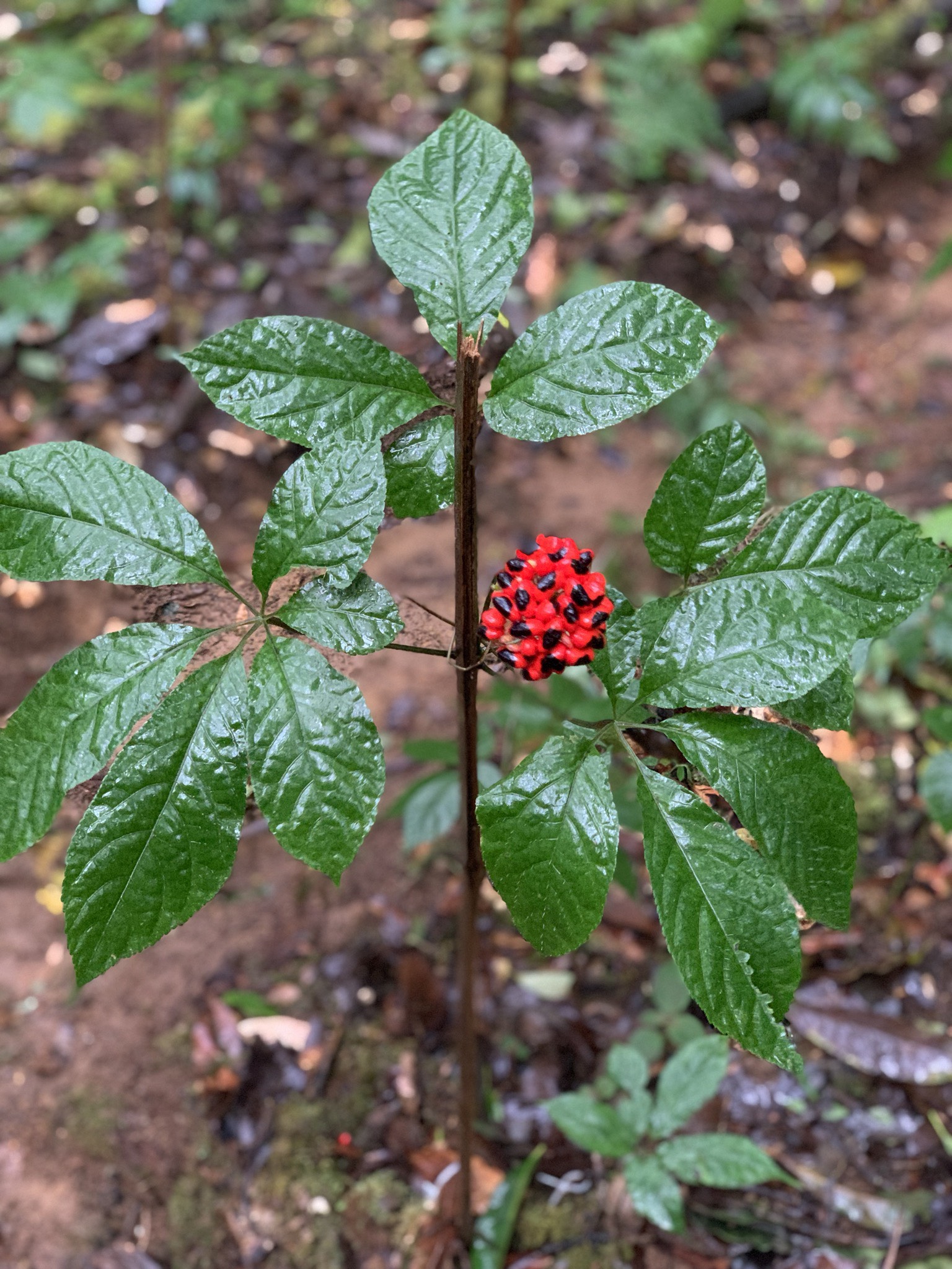 Trang Thông Tin Xuất Nhập Khẩu IMEX NEWS