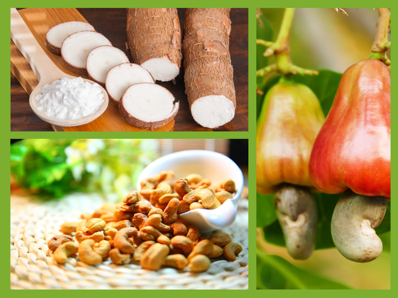 Trang Thông Tin Xuất Nhập Khẩu IMEX NEWS