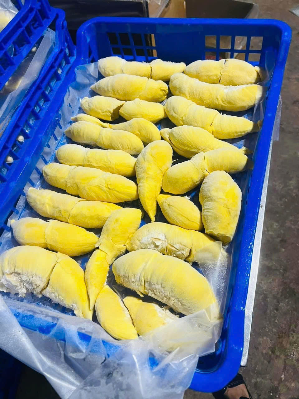 Trang Thông Tin Xuất Nhập Khẩu IMEX NEWS