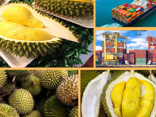 Trang Thông Tin Xuất Nhập Khẩu IMEX NEWS