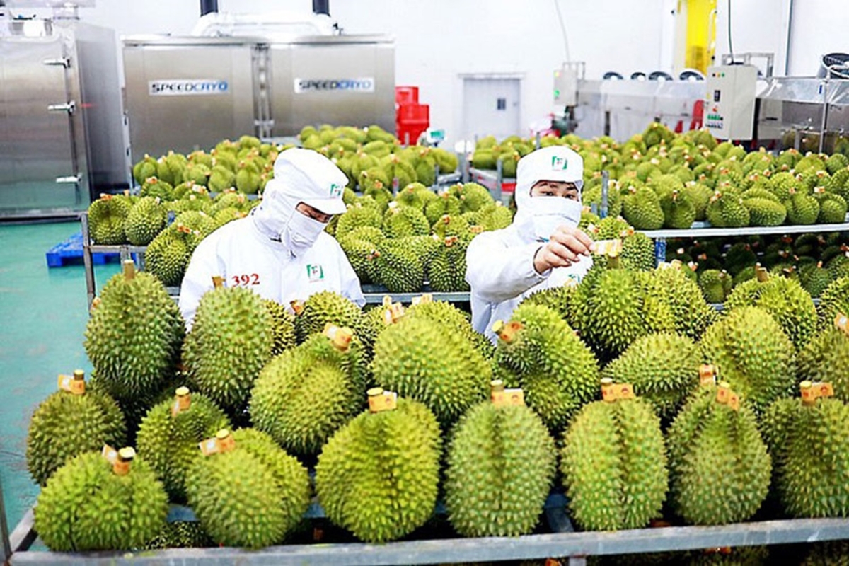Trang Thông Tin Xuất Nhập Khẩu IMEX NEWS