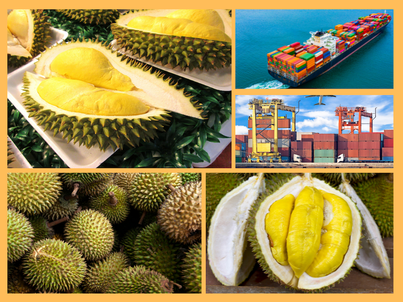 Trang Thông Tin Xuất Nhập Khẩu IMEX NEWS