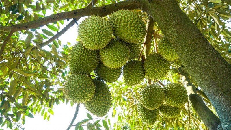 Trang Thông Tin Xuất Nhập Khẩu IMEX NEWS