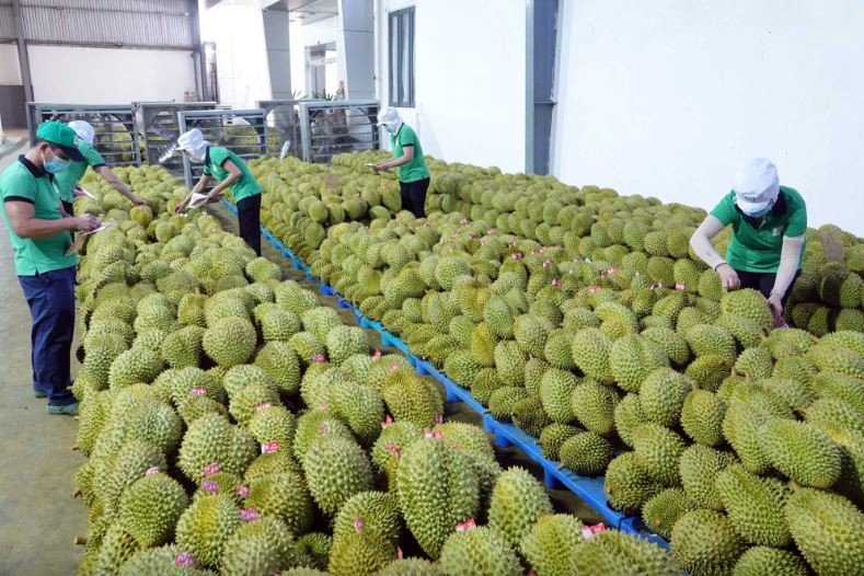 Trang Thông Tin Xuất Nhập Khẩu IMEX NEWS