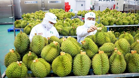 Trang Thông Tin Xuất Nhập Khẩu IMEX NEWS