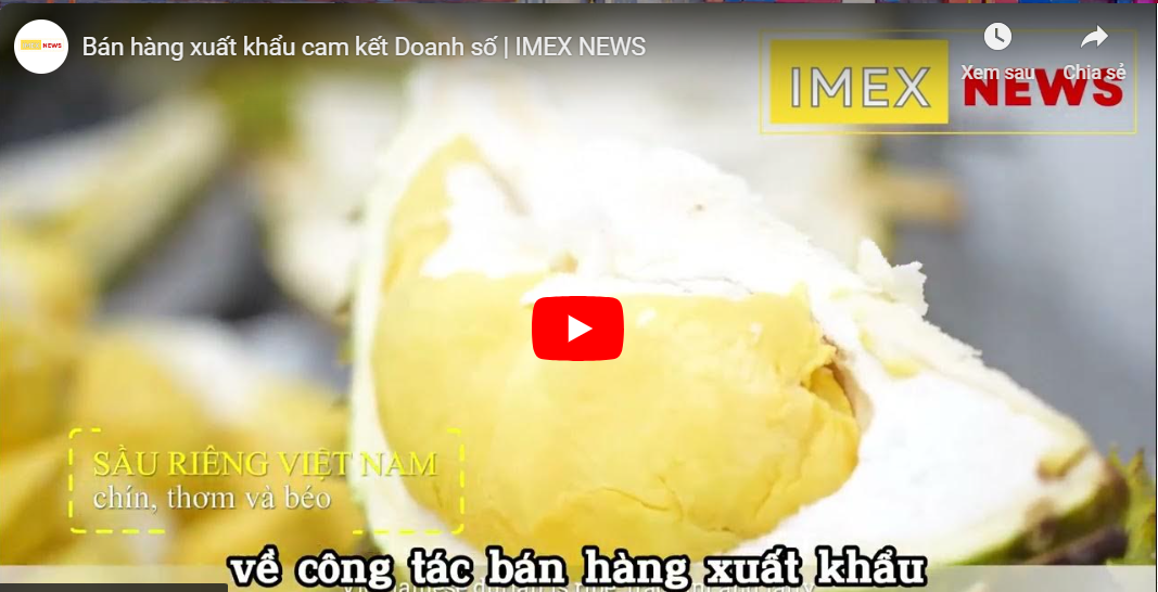 Trang Thông Tin Xuất Nhập Khẩu IMEX NEWS