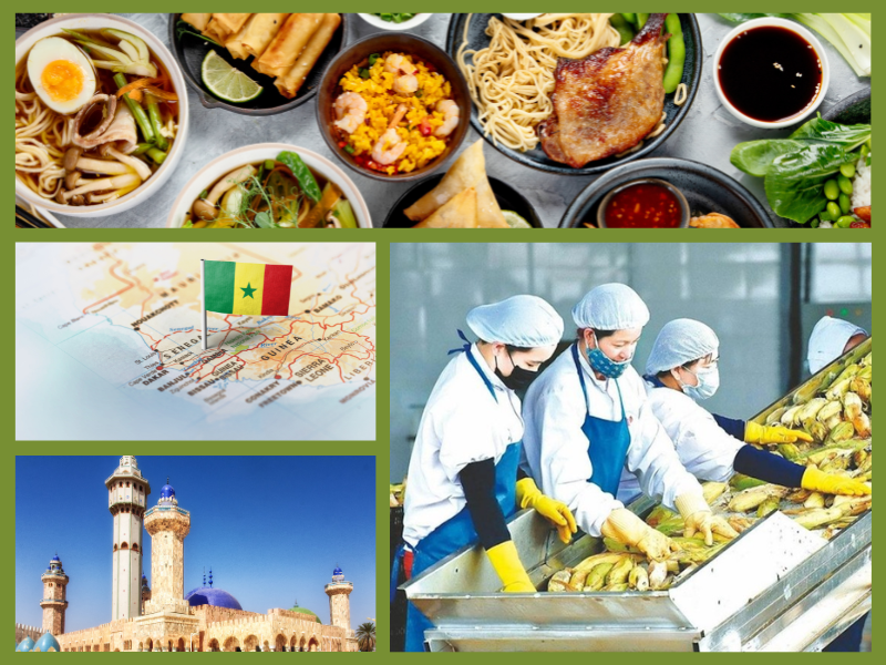 Trang Thông Tin Xuất Nhập Khẩu IMEX NEWS