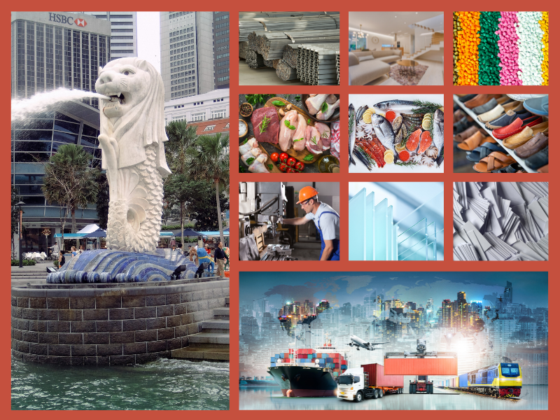 Trang Thông Tin Xuất Nhập Khẩu IMEX NEWS