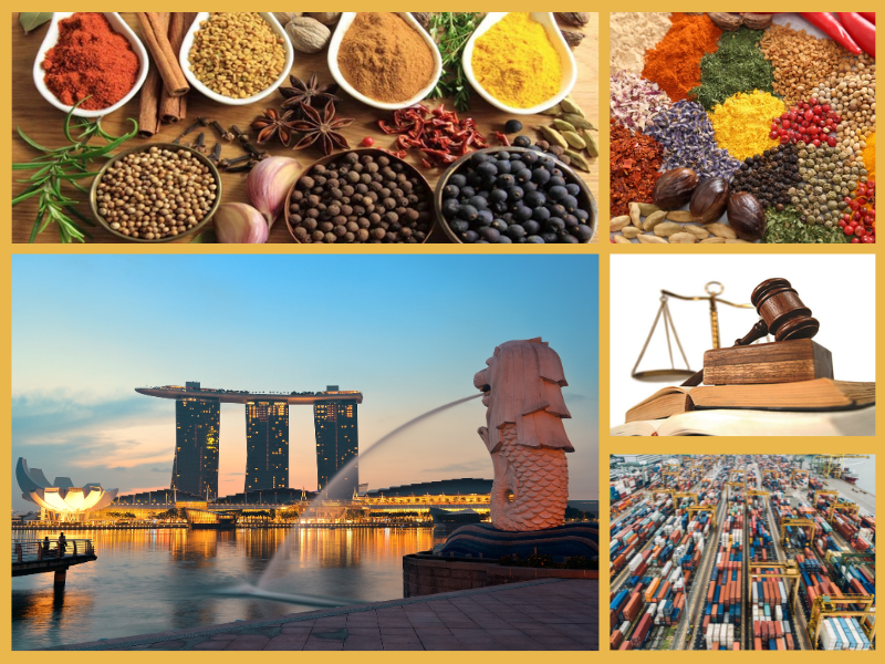 Trang Thông Tin Xuất Nhập Khẩu IMEX NEWS